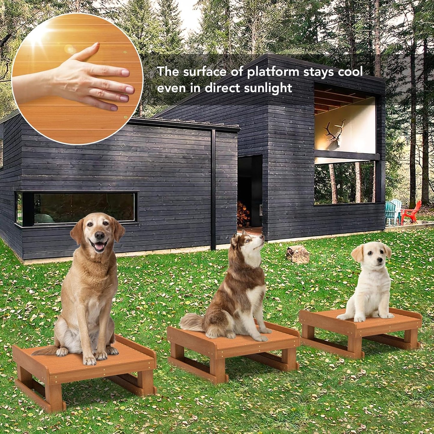 Wooden Dog Training Platform & Agility System – All-in-One Durable Pet Trainer for Place, Agility & Obedience – Indoor/Outdoor Use