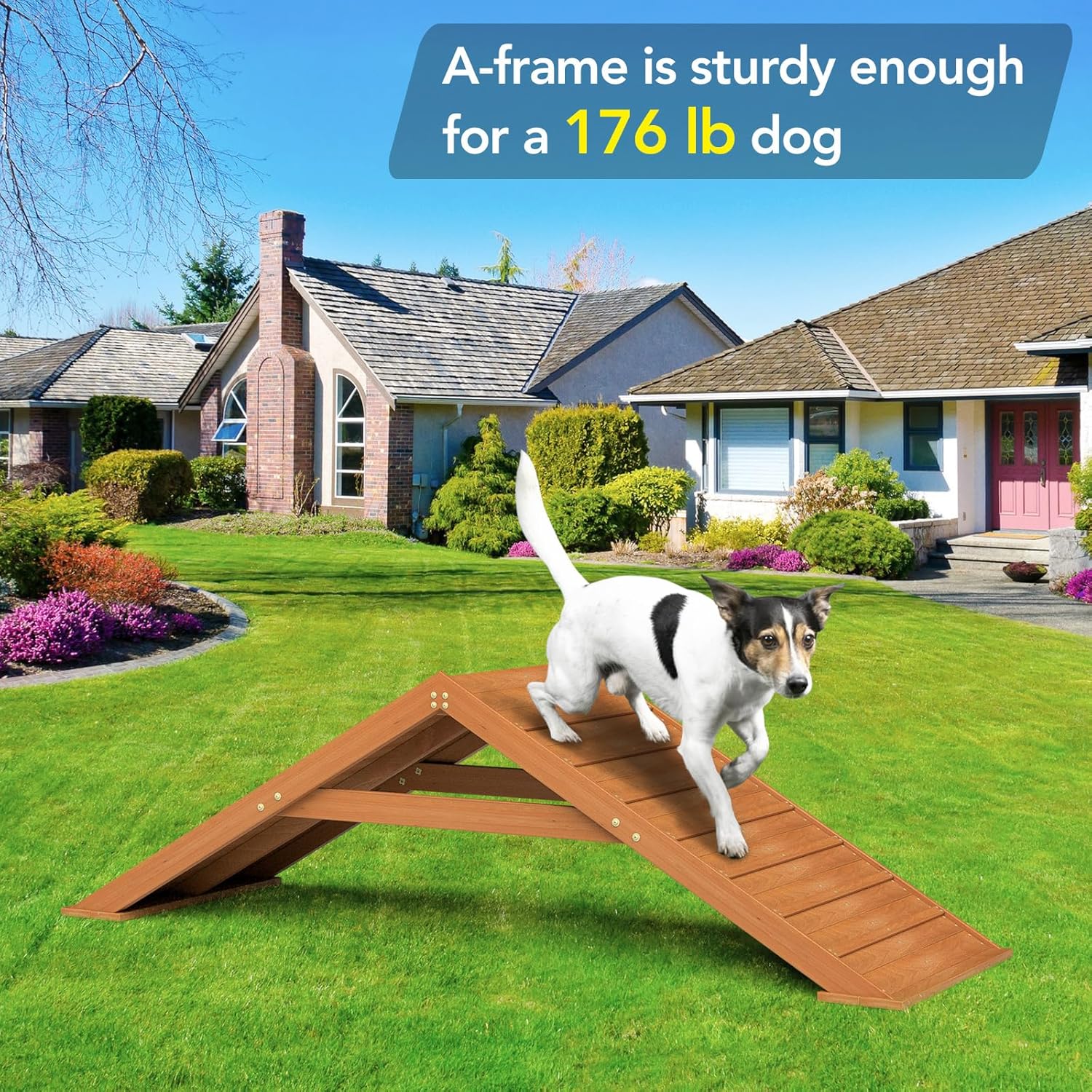 Dogs Agility Course Backyard Set, Wooden Dog Agility A-Frame, Non-Slip ...
